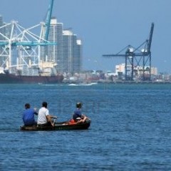 Site de CP, compte auteur et SEO sont dans un bateau